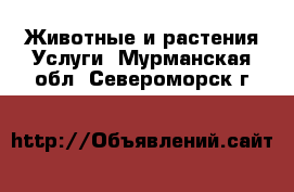 Животные и растения Услуги. Мурманская обл.,Североморск г.